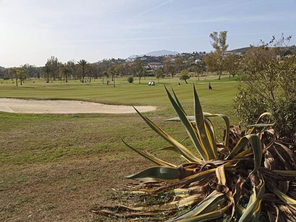 Le Joyau Andalou Apartment Estepona Luaran gambar